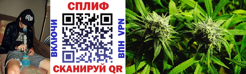 Конопля план  Купить  Красково 